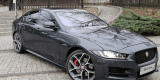 Jaguar XE | Auto do ślubu Poznań, wielkopolskie - zdjęcie 6