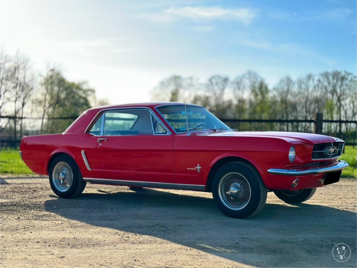 Mustang Coupé z 1965 roku | Auto do ślubu Tarnowskie Góry, śląskie - zdjęcie 1