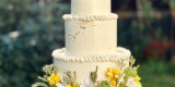 Z Cukru torty słodkie stoły | Tort weselny Częstochowa, śląskie - zdjęcie 3