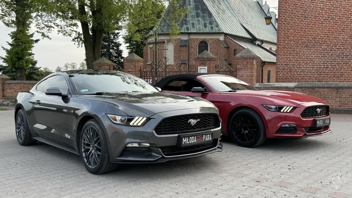 Grafitowy Ford Mustang | Auto do ślubu Babiak, wielkopolskie - zdjęcie 1