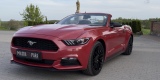 Grafitowy Ford Mustang | Auto do ślubu Babiak, wielkopolskie - zdjęcie 6