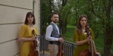 Saltando Trio | Oprawa muzyczna ślubu Kraków, małopolskie - zdjęcie 6