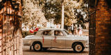 Warszawa 203 | Auto do ślubu Ząbkowice Śląskie, dolnośląskie - zdjęcie 6