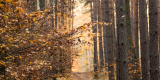 PhotoMagic Weednings | Fotograf ślubny Wrocław, dolnośląskie - zdjęcie 2