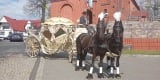 Kareta z końmi Stadnina Kopytko | Bryczka do ślubu Wejherowo, pomorskie - zdjęcie 4