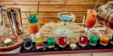 Gin Bar | Barman na wesele Nowy Sącz, małopolskie - zdjęcie 4