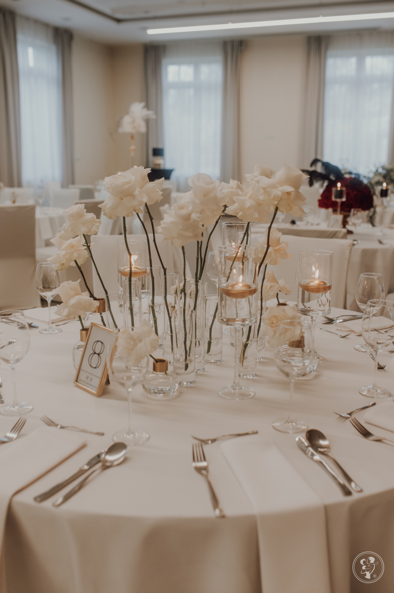 Hotel Arche | Sala weselna Częstochowa, śląskie - zdjęcie 1
