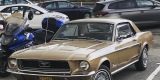 Mustangiem do ślubu | Auto do ślubu Krosno, podkarpackie - zdjęcie 2