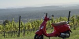 Vespa na sesję | Unikatowe atrakcje Kraków, małopolskie - zdjęcie 2