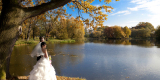 Fairytale Wedding konsultant ślubny | Wedding planner Katowice, śląskie - zdjęcie 6