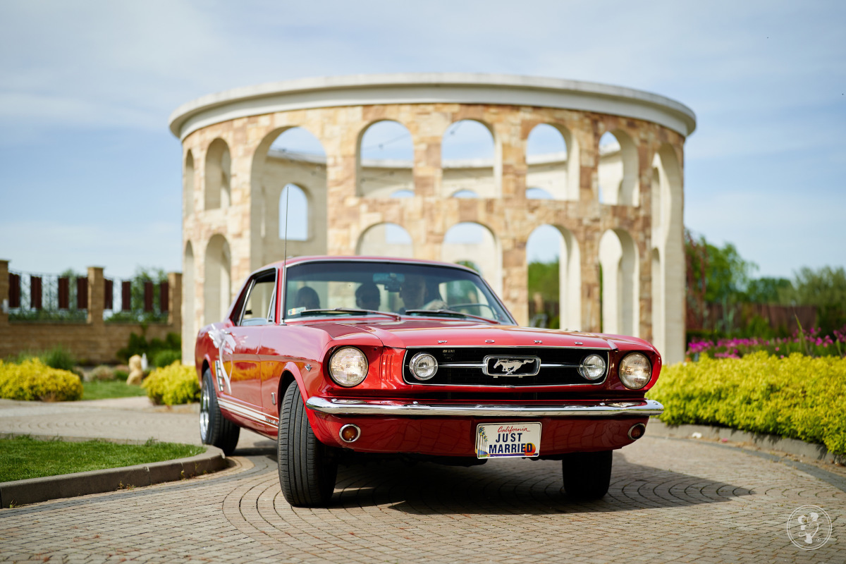 Czerwony Ford Mustang 1966 V8 | Auto do ślubu Rzeszów, podkarpackie - zdjęcie 1