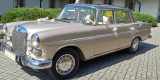 Mercedesy W110 skrzydlak i CLS C219 | Auto do ślubu Łódź, łódzkie - zdjęcie 4