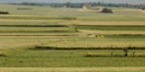 Chwilę Łapię - fotografia ślubna | Fotograf ślubny Opole, opolskie - zdjęcie 5