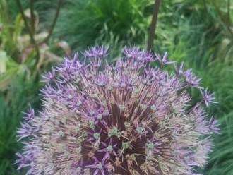 ET fotograf | Fotograf ślubny Rybnik, śląskie