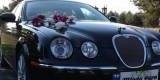 Auto do ślubu, samochód na wesele Jaguar S-Type, Opole - zdjęcie 2