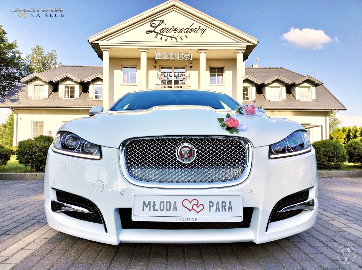 JAGUAR XF Premium Luxury Edition | Auto do ślubu Białystok, podlaskie - zdjęcie 1