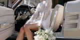 Czuję miłość - Katarzyna Rząsa | Wedding planner Kraków, małopolskie - zdjęcie 7
