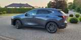 Lexus NX350 Omotenashi | Auto do ślubu Żnin, kujawsko-pomorskie - zdjęcie 2