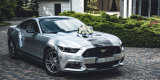 Ford Mustang GT Silver Race | Auto do ślubu Kutno, łódzkie - zdjęcie 2