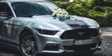 Ford Mustang GT Silver Race | Auto do ślubu Kutno, łódzkie - zdjęcie 3