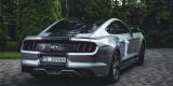 Ford Mustang GT Silver Race | Auto do ślubu Kutno, łódzkie - zdjęcie 5