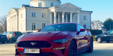 Ford Mustang 5.0 V8 GT | Auto do ślubu Bydgoszcz, kujawsko-pomorskie - zdjęcie 2