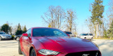 Ford Mustang 5.0 V8 GT | Auto do ślubu Bydgoszcz, kujawsko-pomorskie - zdjęcie 3