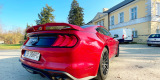 Ford Mustang 5.0 V8 GT | Auto do ślubu Bydgoszcz, kujawsko-pomorskie - zdjęcie 4