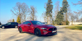 Ford Mustang 5.0 V8 GT | Auto do ślubu Bydgoszcz, kujawsko-pomorskie - zdjęcie 5