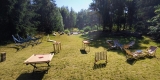 Nexturniej | Unikatowe atrakcje Kraków, małopolskie - zdjęcie 2