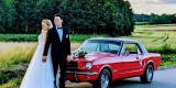 Czerwony Ford Mustang 1965 | Auto do ślubu Jaworzno, śląskie - zdjęcie 2