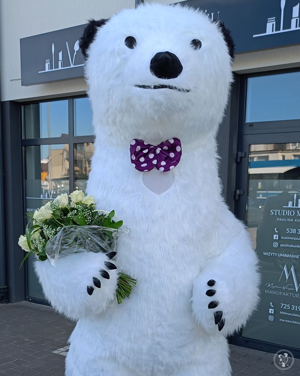 Biały miś Tadzik | Unikatowe atrakcje Kniewo, pomorskie - zdjęcie 1