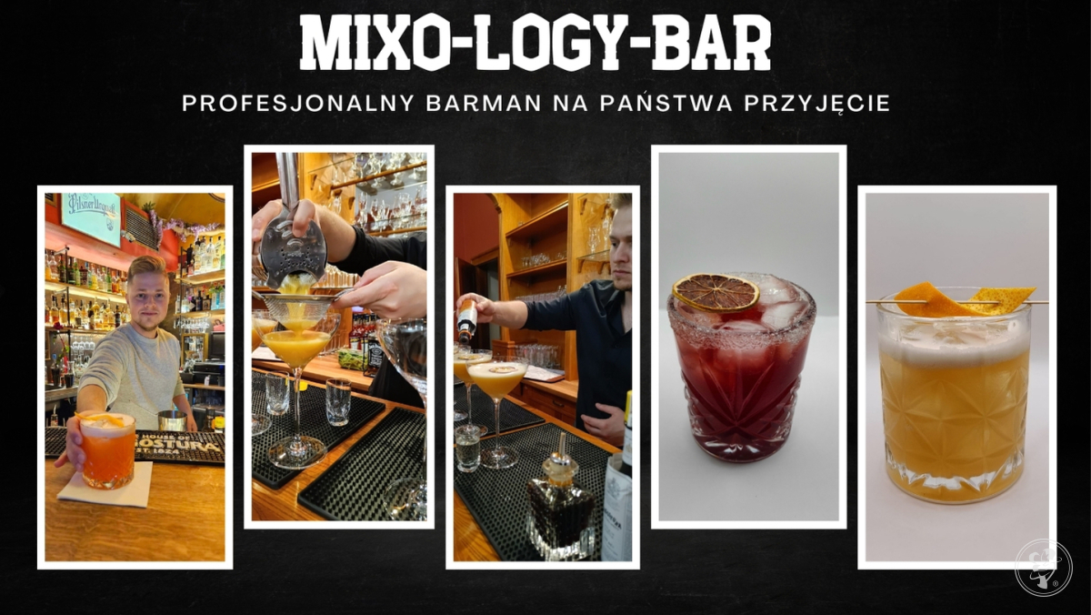Mixo-Logy-Bar | Barman na wesele Polkowice, dolnośląskie - zdjęcie 1