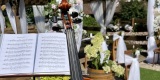 Your Violin | Oprawa muzyczna ślubu Białystok, podlaskie - zdjęcie 6