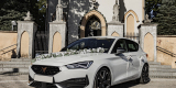 Cupra Leon VZ | Auto do ślubu Skomielna Biała, małopolskie - zdjęcie 5