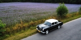 Mercedes W110 i W111 | Auto do ślubu Toruń, kujawsko-pomorskie - zdjęcie 4