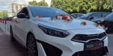 Wedding Proceed GT | Auto do ślubu Tychy, śląskie - zdjęcie 5