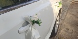 Chrysler 300C | Auto do ślubu Ozorków, łódzkie - zdjęcie 5