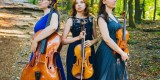 Trio smyczkowe Iris Trio | Oprawa muzyczna ślubu Kraków, małopolskie - zdjęcie 4