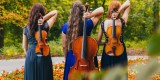 Trio smyczkowe Iris Trio | Oprawa muzyczna ślubu Kraków, małopolskie - zdjęcie 5