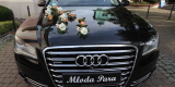 Audi A8 i Chevrolet Corvette C5 | Auto do ślubu Kraków, małopolskie - zdjęcie 2