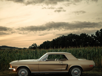 Mustangiem do ślubu | Auto do ślubu Krosno, podkarpackie