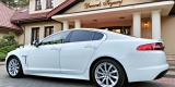 JAGUAR XF Premium Luxury Edition | Auto do ślubu Białystok, podlaskie - zdjęcie 3