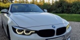 BMW Cabrio 440i XDrive z 2017 roku | Auto do ślubu Mezowo, pomorskie - zdjęcie 5