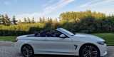 BMW Cabrio 440i XDrive z 2017 roku | Auto do ślubu Mezowo, pomorskie - zdjęcie 4