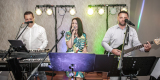 FONIC | Zespół muzyczny Częstochowa, śląskie - zdjęcie 3