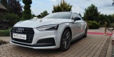 Audi A5 Sportback S-line | Auto do ślubu Piotrków Trybunalski, łódzkie - zdjęcie 4