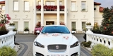 JAGUAR XF Premium Luxury Edition | Auto do ślubu Białystok, podlaskie - zdjęcie 4