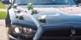 Dodge Charger R/T | Auto do ślubu Stalowa Wola, podkarpackie - zdjęcie 5