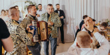 Dj Wokalista + Akordeon i Saksofon | DJ na wesele Wasilków, podlaskie - zdjęcie 2